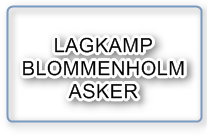 Asker vant for andre år på rad mot Blommenholm